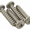 Hayward Poolvergneugen Pressure Shroud Screws | 4-Pack | 896584000-303