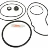 Seal & Gasket For Pentair SuperFlo Pool Pumps | GO-KIT78-9