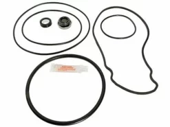 Seal & Gasket For Pentair SuperFlo Pool Pumps | GO-KIT78-9