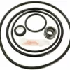 Seal & Gasket Kit For Sta-Rite J Series Pool Pumps | GO-KIT47 APCK1043