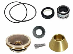 Aladdin For Pentair C-Series Commercial Bronze Pool Pumps | GO-KIT11