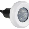 SR Smith Treo Color RGB LED Underwater Pool Light | 5W 12V 30' Cord | FLED-C-TR-30