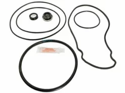 Seal & Gasket Kit For Pentair WhisperFlo & IntelliFlo Pool Pumps | GO-KIT32 APCK1027