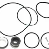 GO Kit For Jandy SHP Pump | Seals & Gaskets | 175123