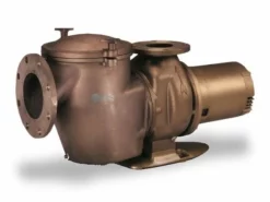 Pentair C Series 7-1/2HP Standard Efficiency Single-Phase Commercial Bronze Pump High Head | 200/208V 60 Hertz | CH-75 | 348005