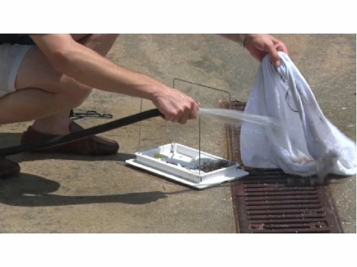 Maytronics Dolphin Wave 100 Inground Commercial Robotic Pool Cleaner | 9999096X-USW - Image 2