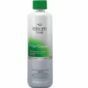 Leisure Time Spa Filter Clean 16 Oz | N