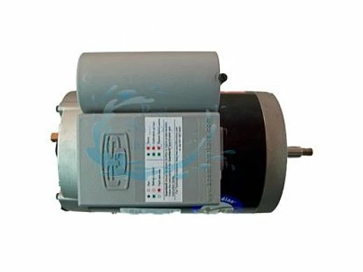 A.O. Smith GUARDIAN Round Frame Threaded Shaft Motor | 1HP, 115/230V | BG128A - Image 2