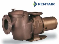 Pentair C Series Standard Efficiency Commercial Bronze Pump With Strainer | 3 Phase | 200-208V 5HP | CMK-50 | 347940