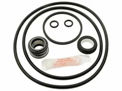 Seal & Gasket Kit For Jacuzzi Magnum Pool Pumps | GO-KIT14 APCK1007