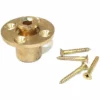 PoolTux Brass Wood Deck Anchor Assembly With Screws | MH216